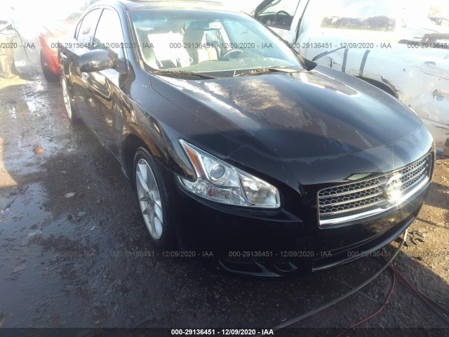 NISSAN MAXIMA 2010 1n4aa5ap8ac815840