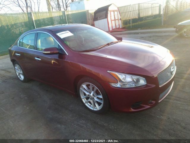 NISSAN MAXIMA 2010 1n4aa5ap8ac818737