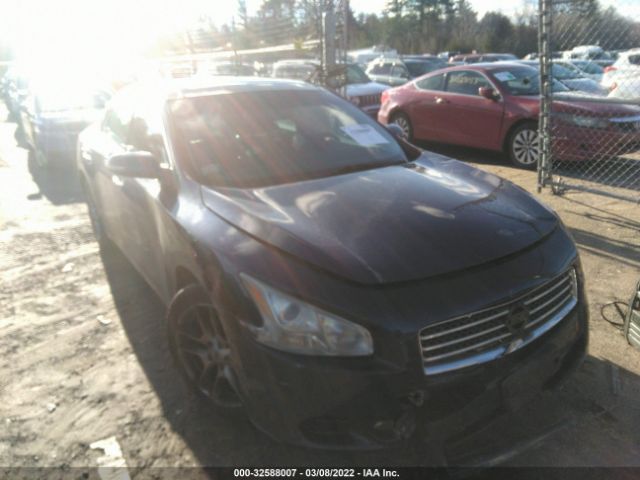 NISSAN MAXIMA 2010 1n4aa5ap8ac820200