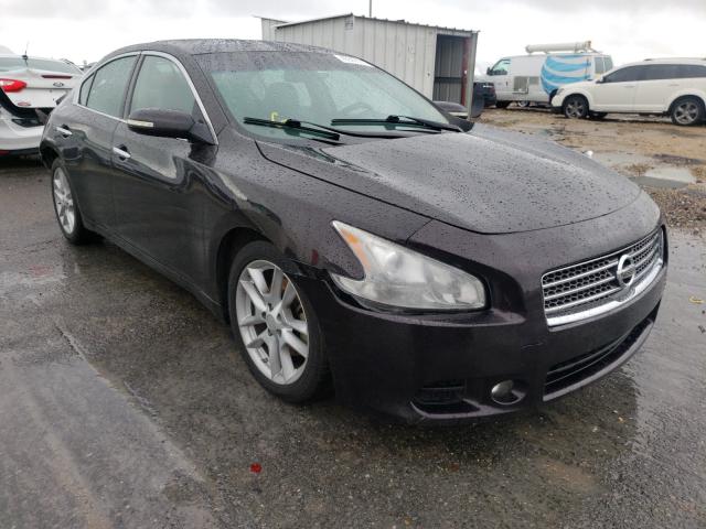 NISSAN MAXIMA S 2010 1n4aa5ap8ac822156