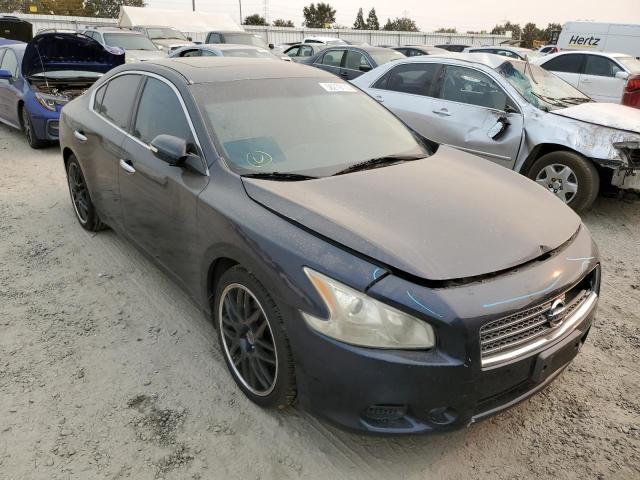 NISSAN MAXIMA S 2010 1n4aa5ap8ac822416