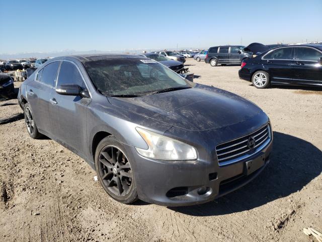 NISSAN MAXIMA S 2010 1n4aa5ap8ac822738