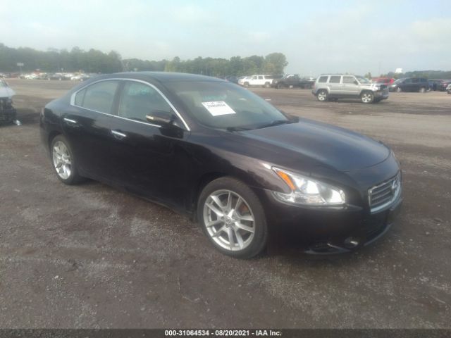 NISSAN MAXIMA 2010 1n4aa5ap8ac823971