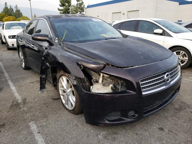 NISSAN MAXIMA S 2010 1n4aa5ap8ac838180