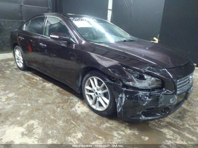 NISSAN MAXIMA 2010 1n4aa5ap8ac838213