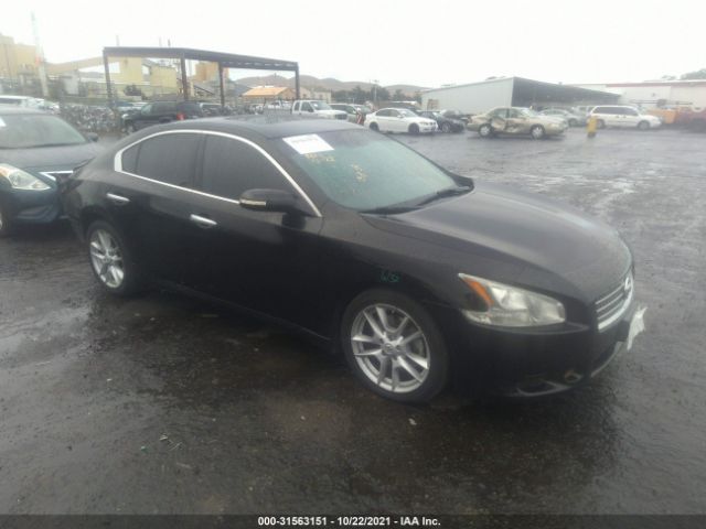 NISSAN MAXIMA 2010 1n4aa5ap8ac838454