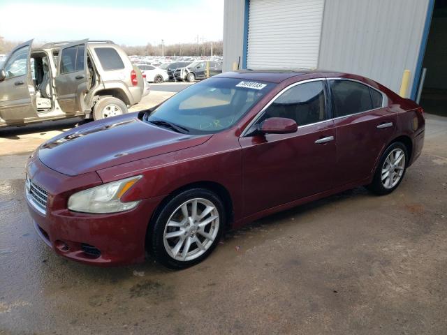 NISSAN MAXIMA 2010 1n4aa5ap8ac839331