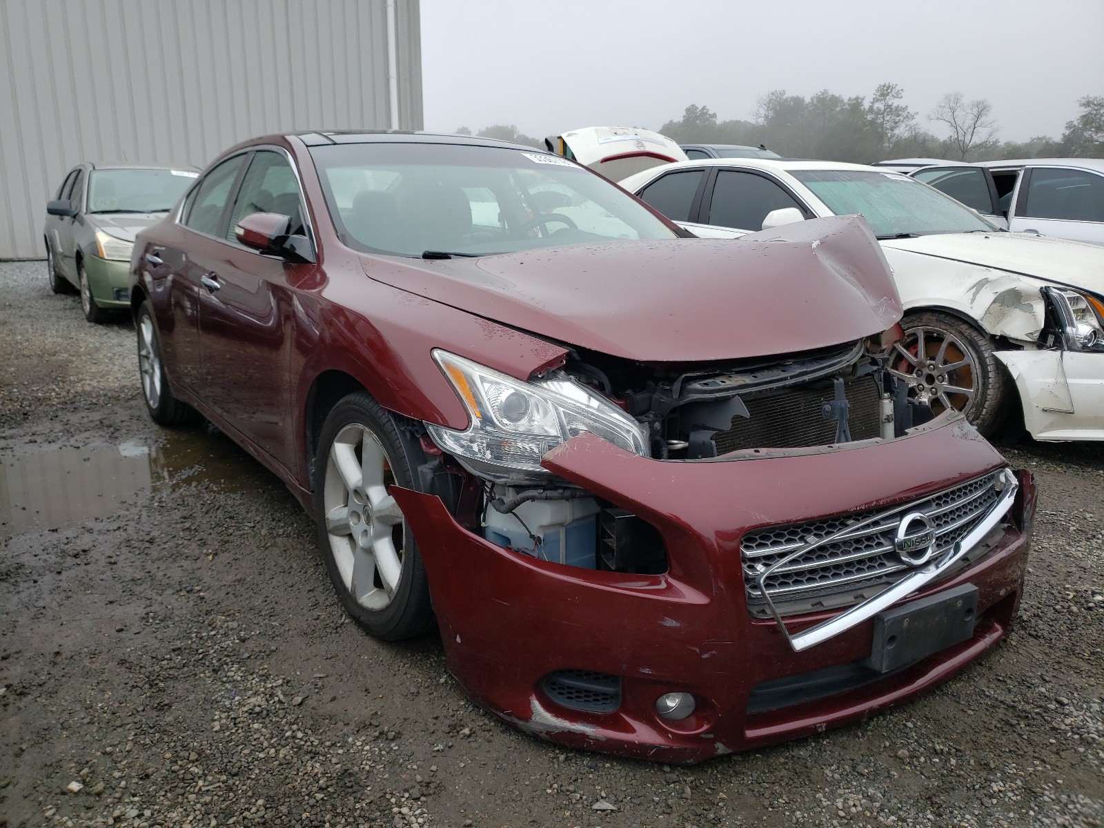 NISSAN MAXIMA S 2010 1n4aa5ap8ac844268