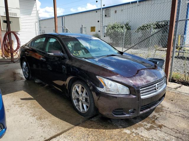 NISSAN MAXIMA S 2010 1n4aa5ap8ac845646