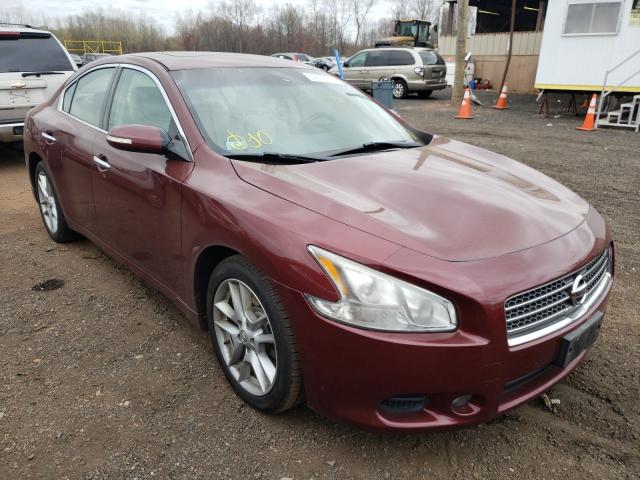 NISSAN MAXIMA S 2010 1n4aa5ap8ac845677