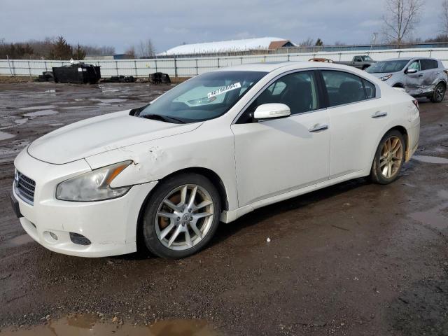 NISSAN MAXIMA 2010 1n4aa5ap8ac847588