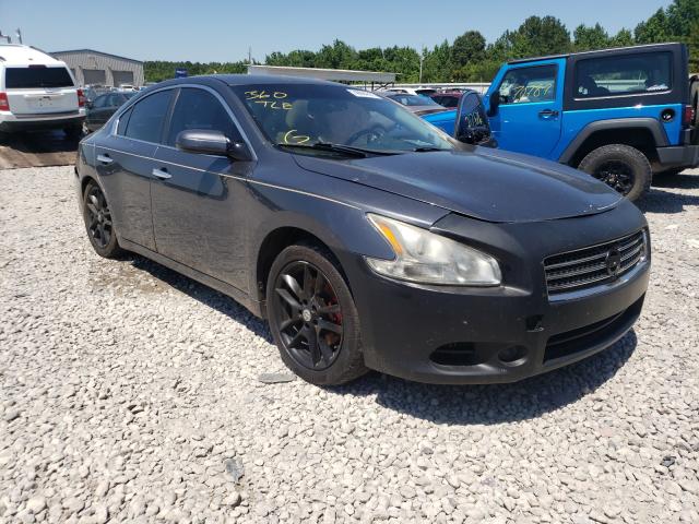 NISSAN MAXIMA 2010 1n4aa5ap8ac849339