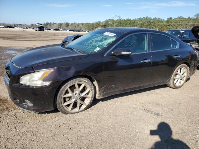 NISSAN MAXIMA S 2010 1n4aa5ap8ac850149