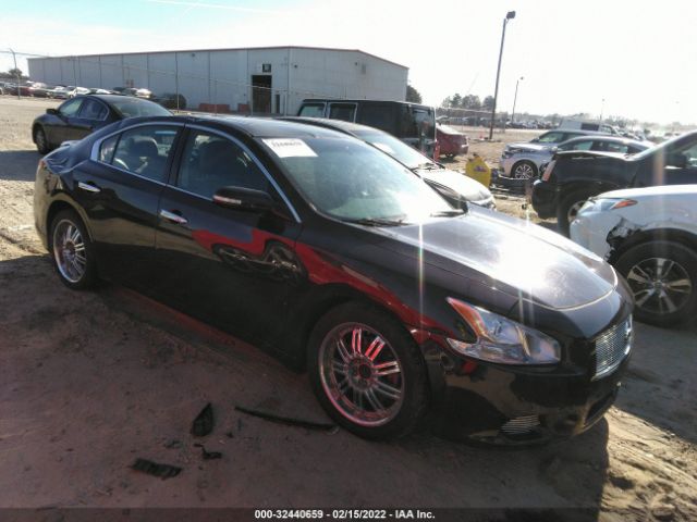 NISSAN MAXIMA 2010 1n4aa5ap8ac850202