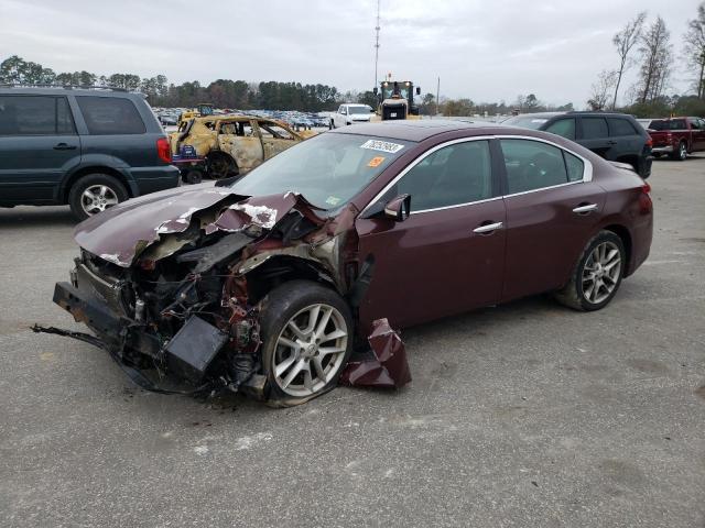 NISSAN MAXIMA 2010 1n4aa5ap8ac850734