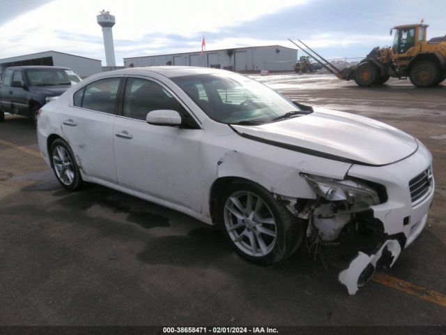 NISSAN MAXIMA 2010 1n4aa5ap8ac853651