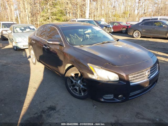 NISSAN MAXIMA 2010 1n4aa5ap8ac855884