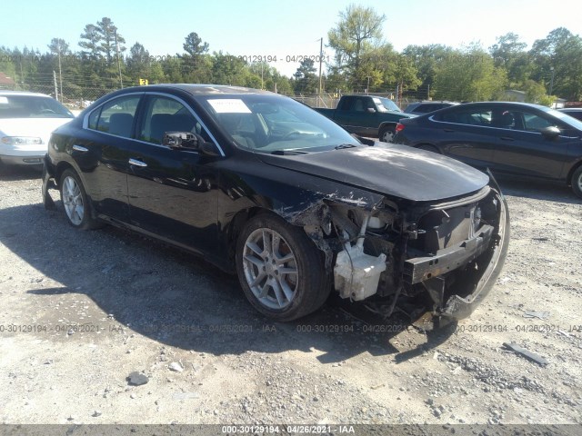 NISSAN MAXIMA 2010 1n4aa5ap8ac856288