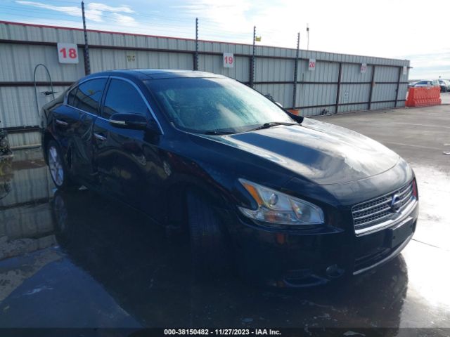 NISSAN MAXIMA 2010 1n4aa5ap8ac861538