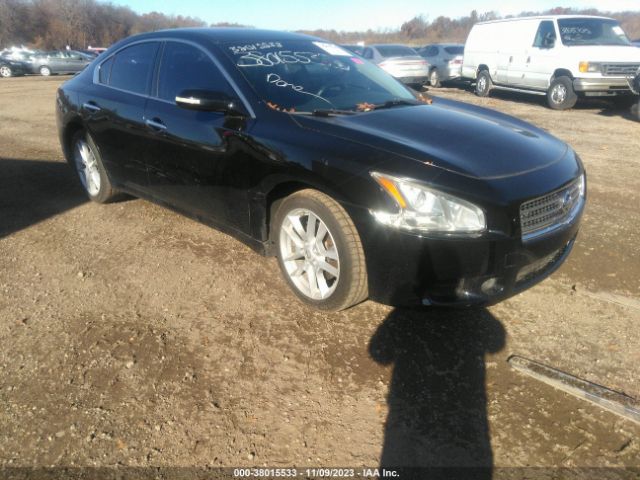 NISSAN MAXIMA 2010 1n4aa5ap8ac862608