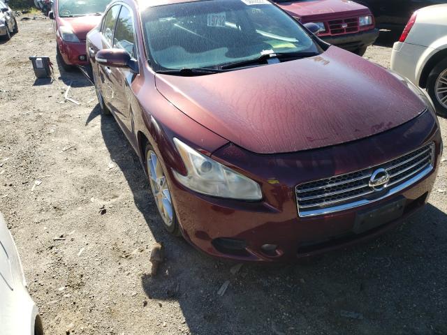 NISSAN MAXIMA S 2010 1n4aa5ap8ac863385