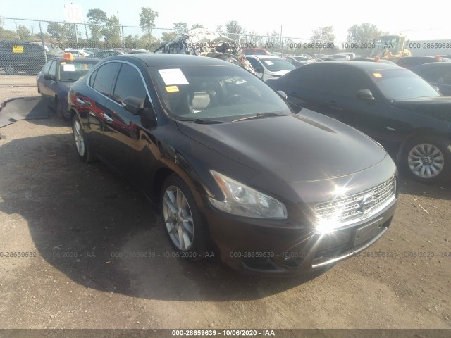 NISSAN MAXIMA 2010 1n4aa5ap8ac873656