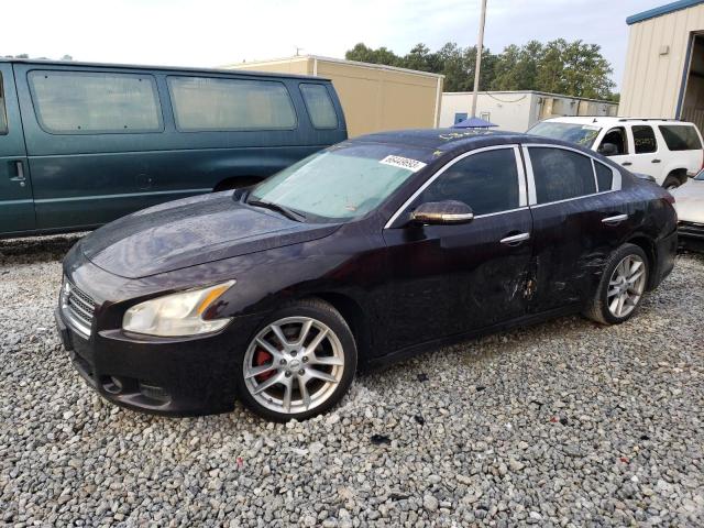 NISSAN MAXIMA 2010 1n4aa5ap8ac873835