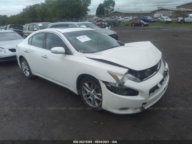 NISSAN MAXIMA 2010 1n4aa5ap8ac874290