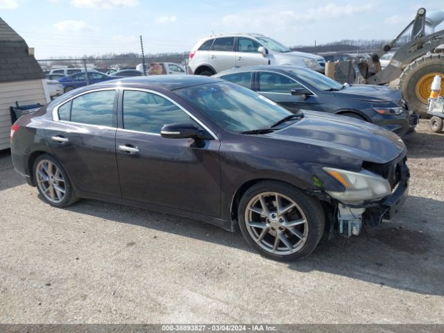 NISSAN MAXIMA 2011 1n4aa5ap8bc814933