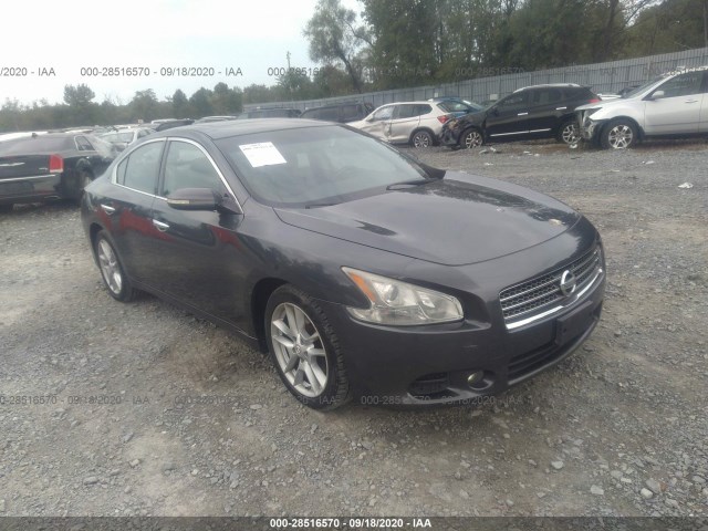 NISSAN MAXIMA 2011 1n4aa5ap8bc826211