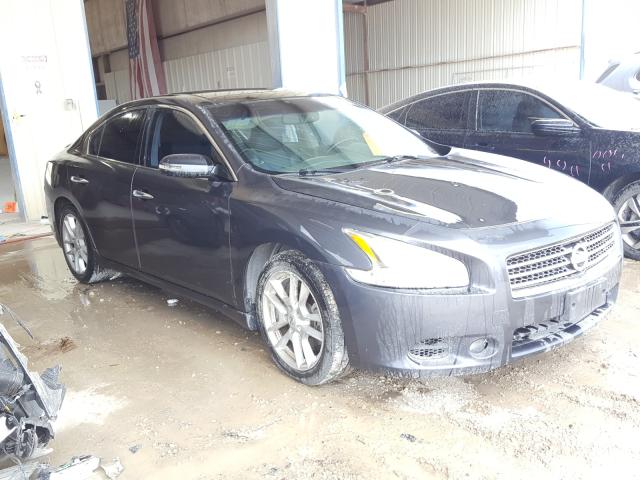 NISSAN MAXIMA S 2011 1n4aa5ap8bc831506