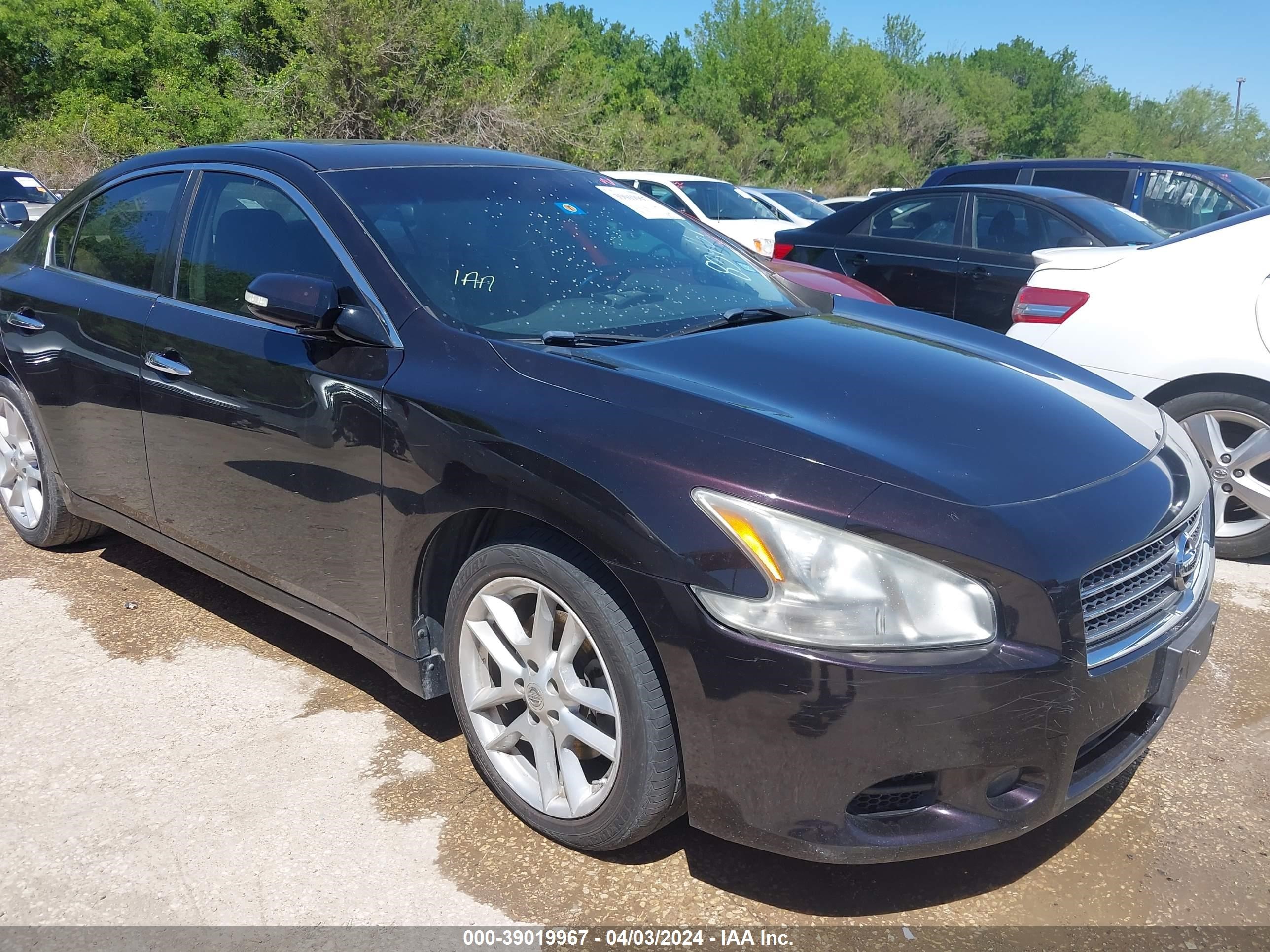 NISSAN MAXIMA 2011 1n4aa5ap8bc834695