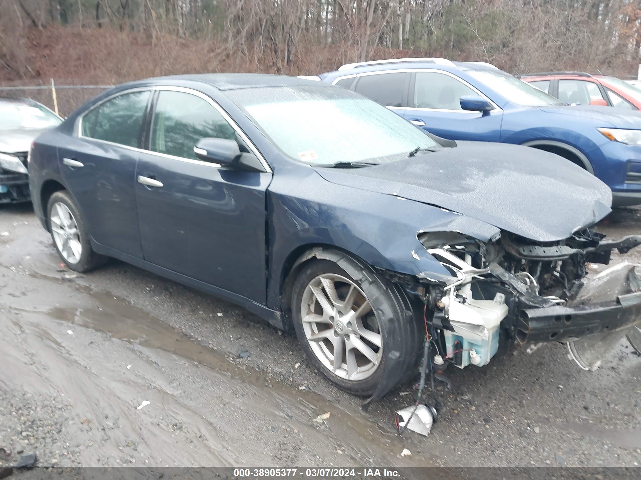 NISSAN MAXIMA 2011 1n4aa5ap8bc836141