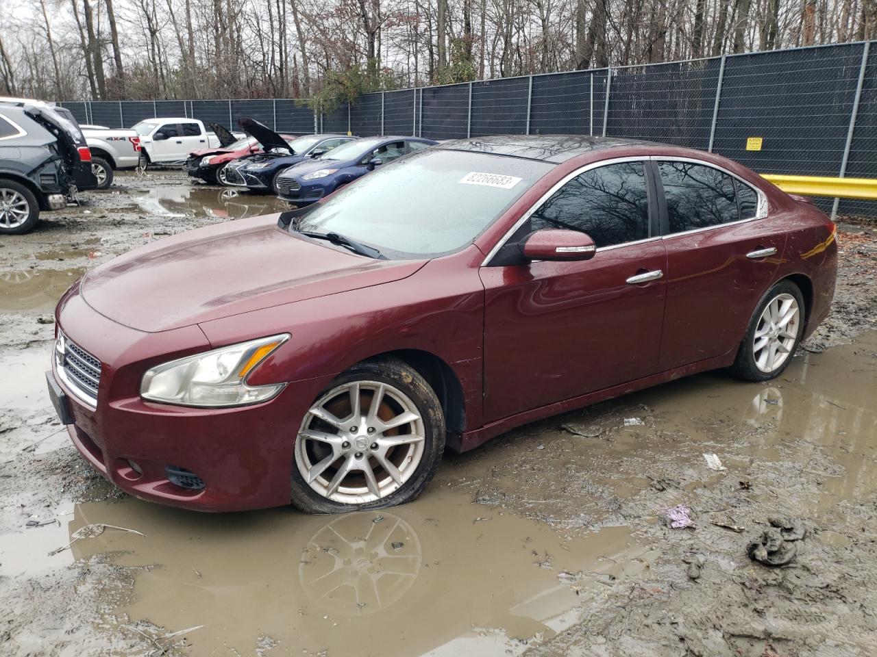 NISSAN MAXIMA 2011 1n4aa5ap8bc840030