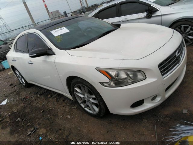 NISSAN MAXIMA 2011 1n4aa5ap8bc843512