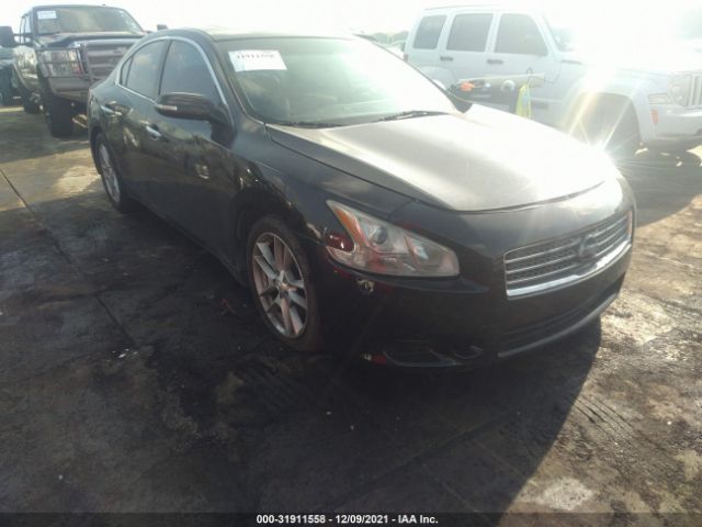 NISSAN MAXIMA 2011 1n4aa5ap8bc850427