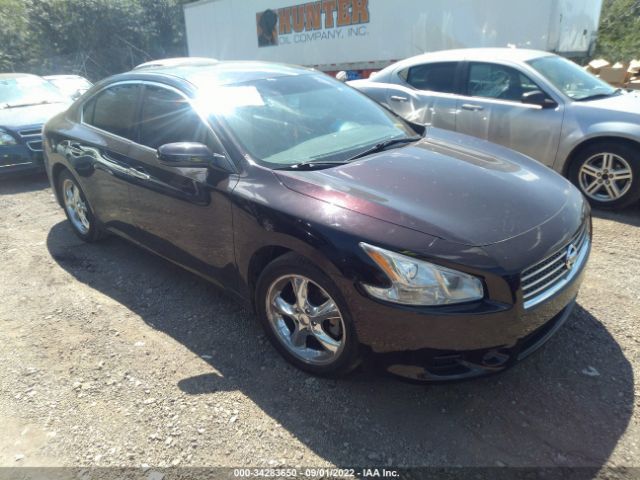 NISSAN MAXIMA 2011 1n4aa5ap8bc855613