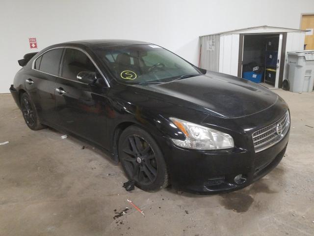 NISSAN MAXIMA 2011 1n4aa5ap8bc856003