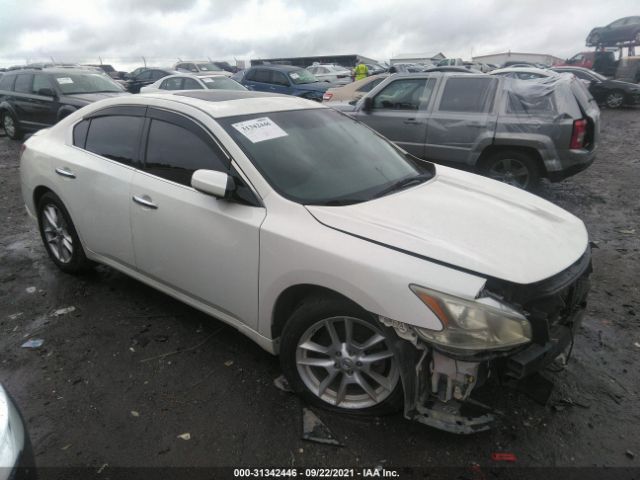 NISSAN MAXIMA 2011 1n4aa5ap8bc859791