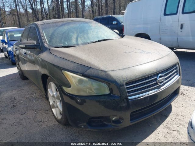 NISSAN MAXIMA 2011 1n4aa5ap8bc864196