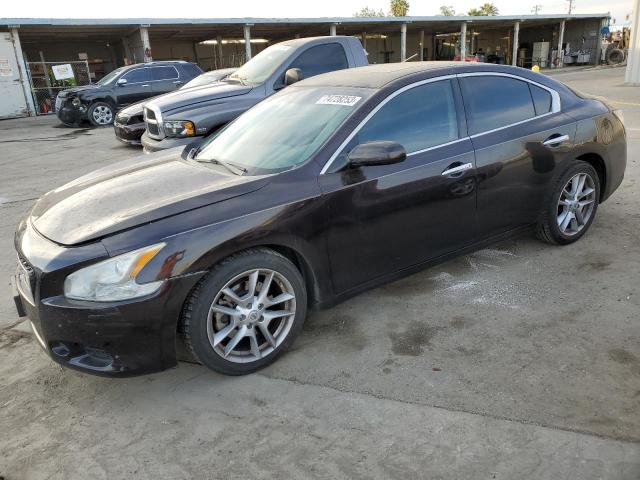 NISSAN MAXIMA 2012 1n4aa5ap8cc830325