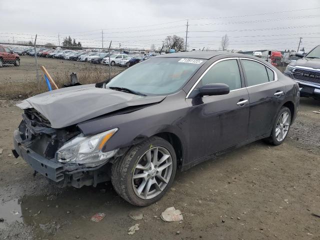 NISSAN MAXIMA 2013 1n4aa5ap8dc841973