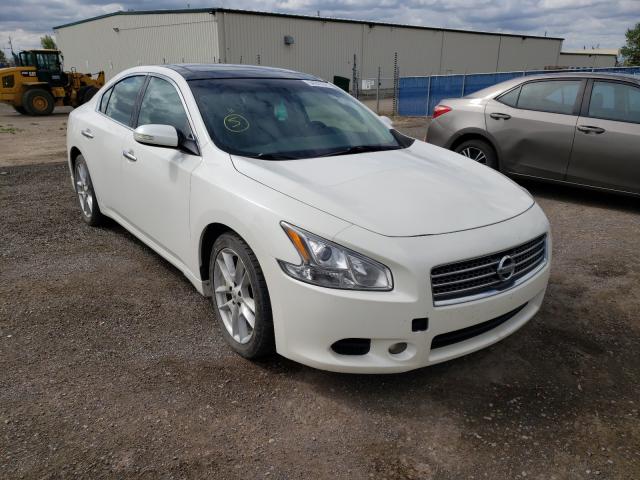 NISSAN MAXIMA S 2010 1n4aa5ap9ac802059