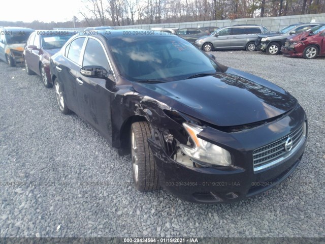 NISSAN MAXIMA 2010 1n4aa5ap9ac802627