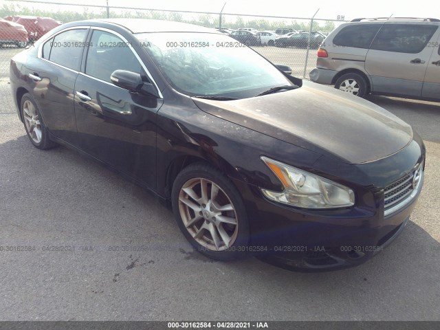 NISSAN MAXIMA 2010 1n4aa5ap9ac807438