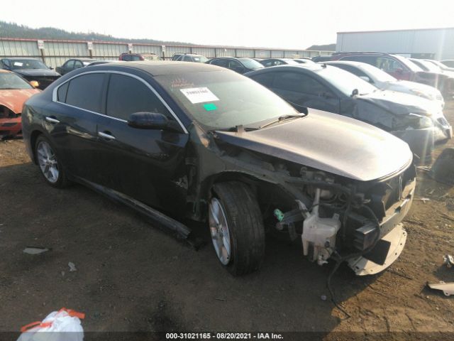 NISSAN MAXIMA 2010 1n4aa5ap9ac808394