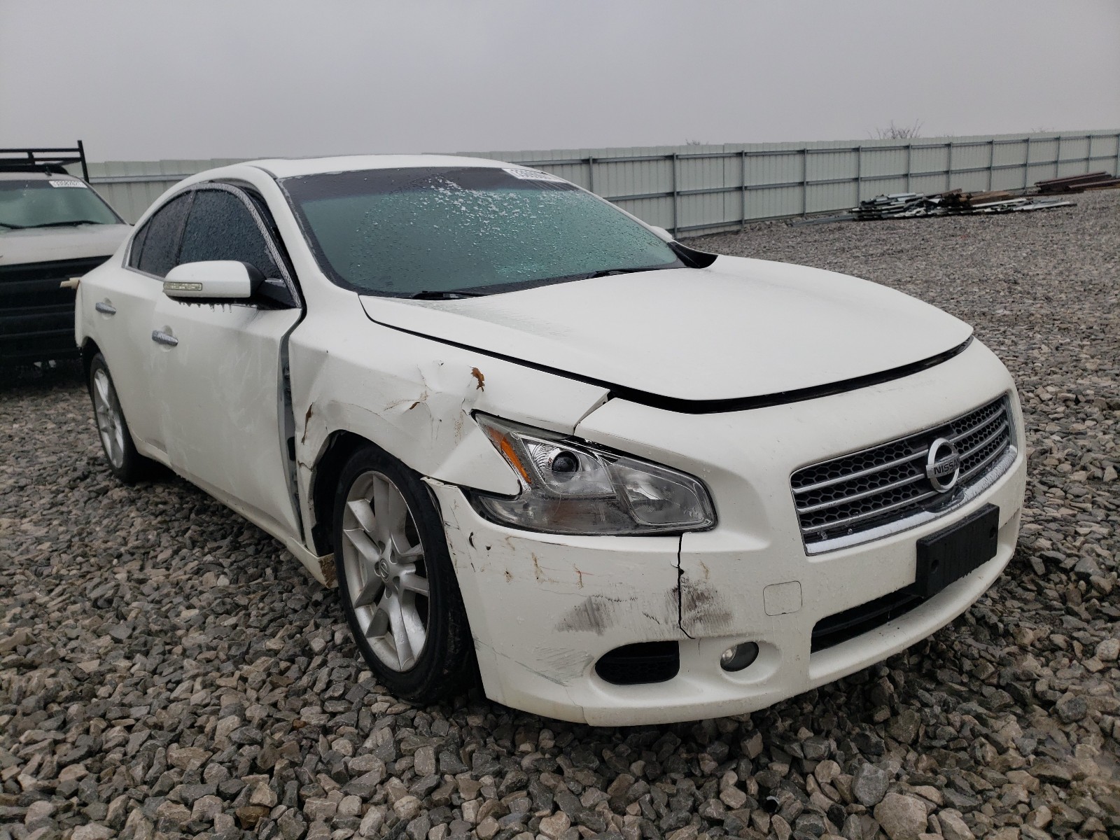 NISSAN MAXIMA S 2010 1n4aa5ap9ac816415