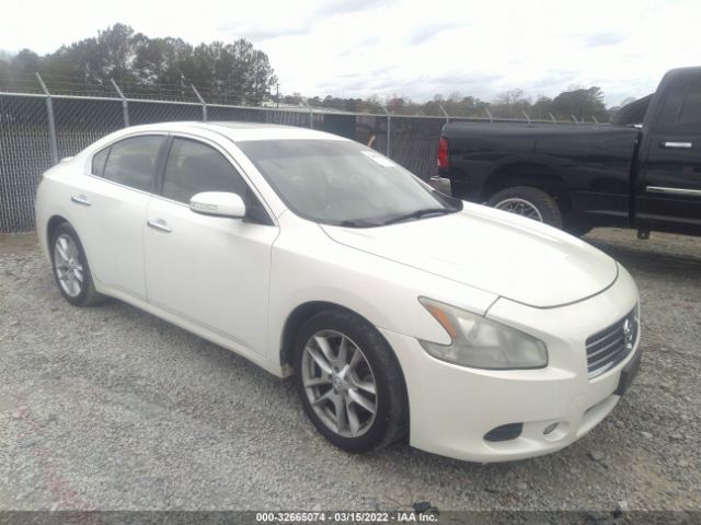 NISSAN MAXIMA 2010 1n4aa5ap9ac820111