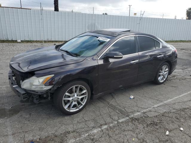 NISSAN MAXIMA 2010 1n4aa5ap9ac820688