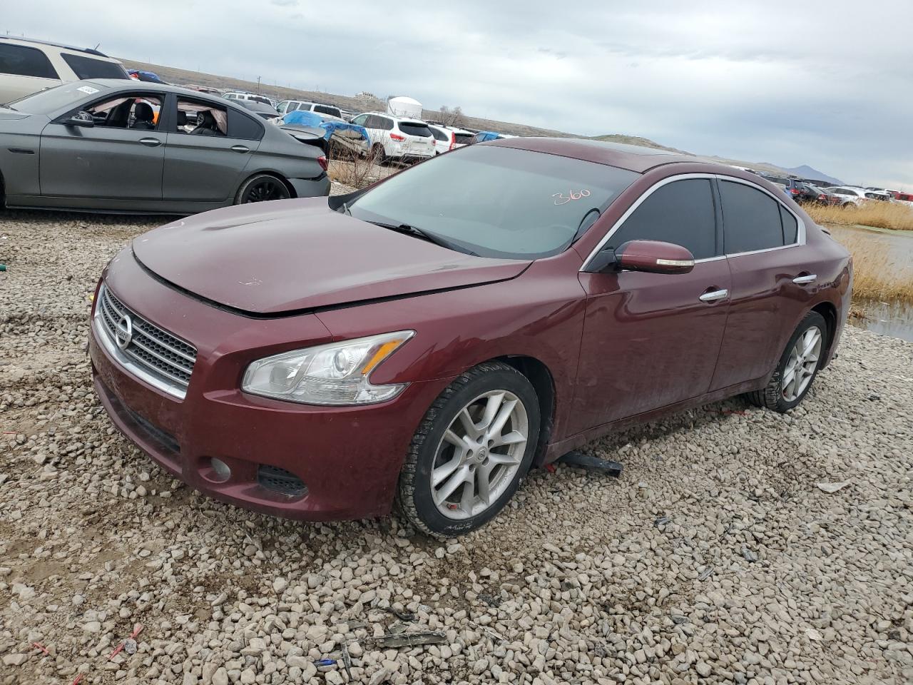 NISSAN MAXIMA 2010 1n4aa5ap9ac823140